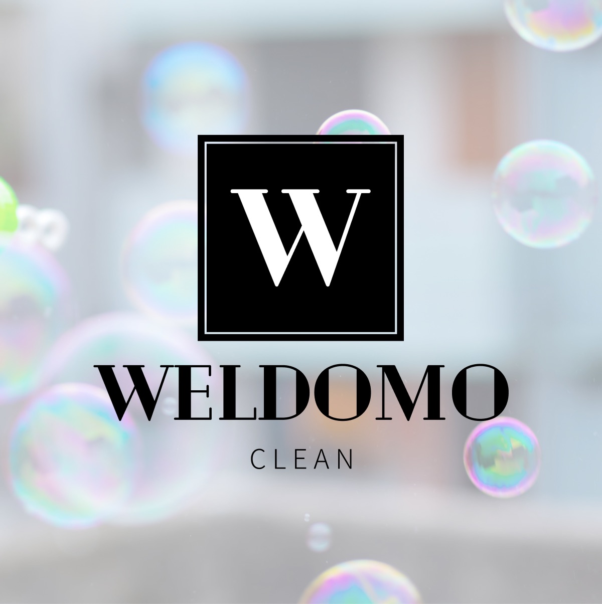 WELDOMO Clean